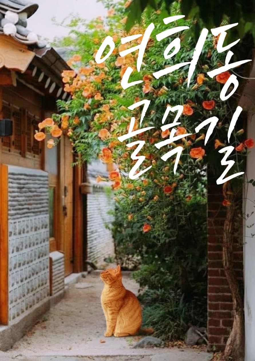 연희동 골목길 포스터